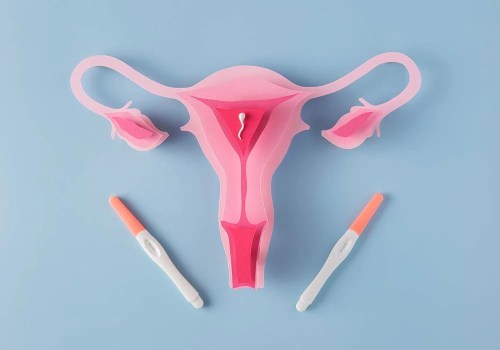 Ovulation Induction