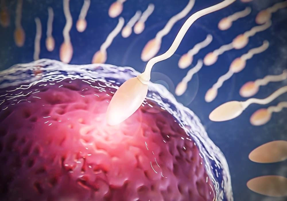 Azoospermia